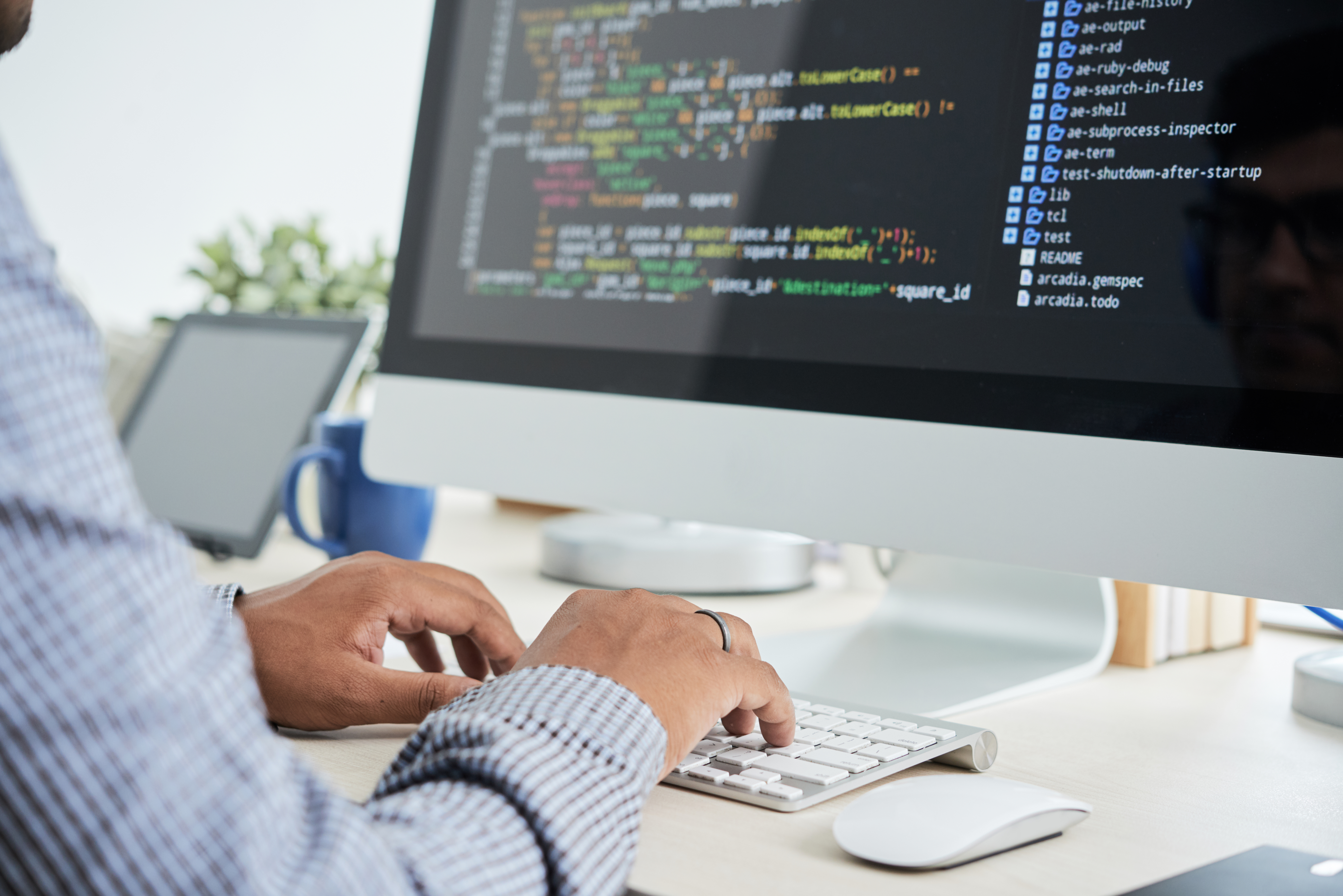 Sviluppo Software